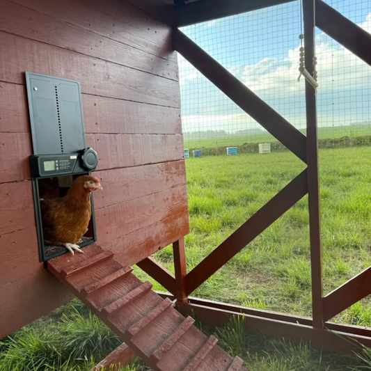 Automatic Chicken Coop Door