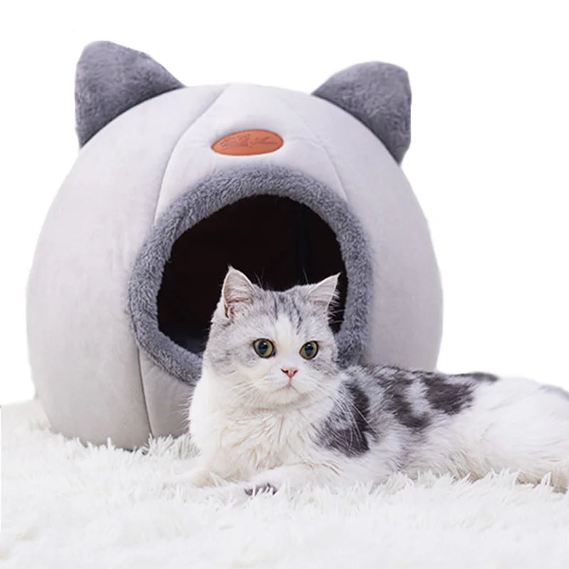 Indoor Comfy Cat Bed